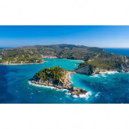 Alexander Dalietatika