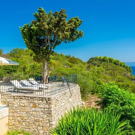 Alexander * Dalietatika